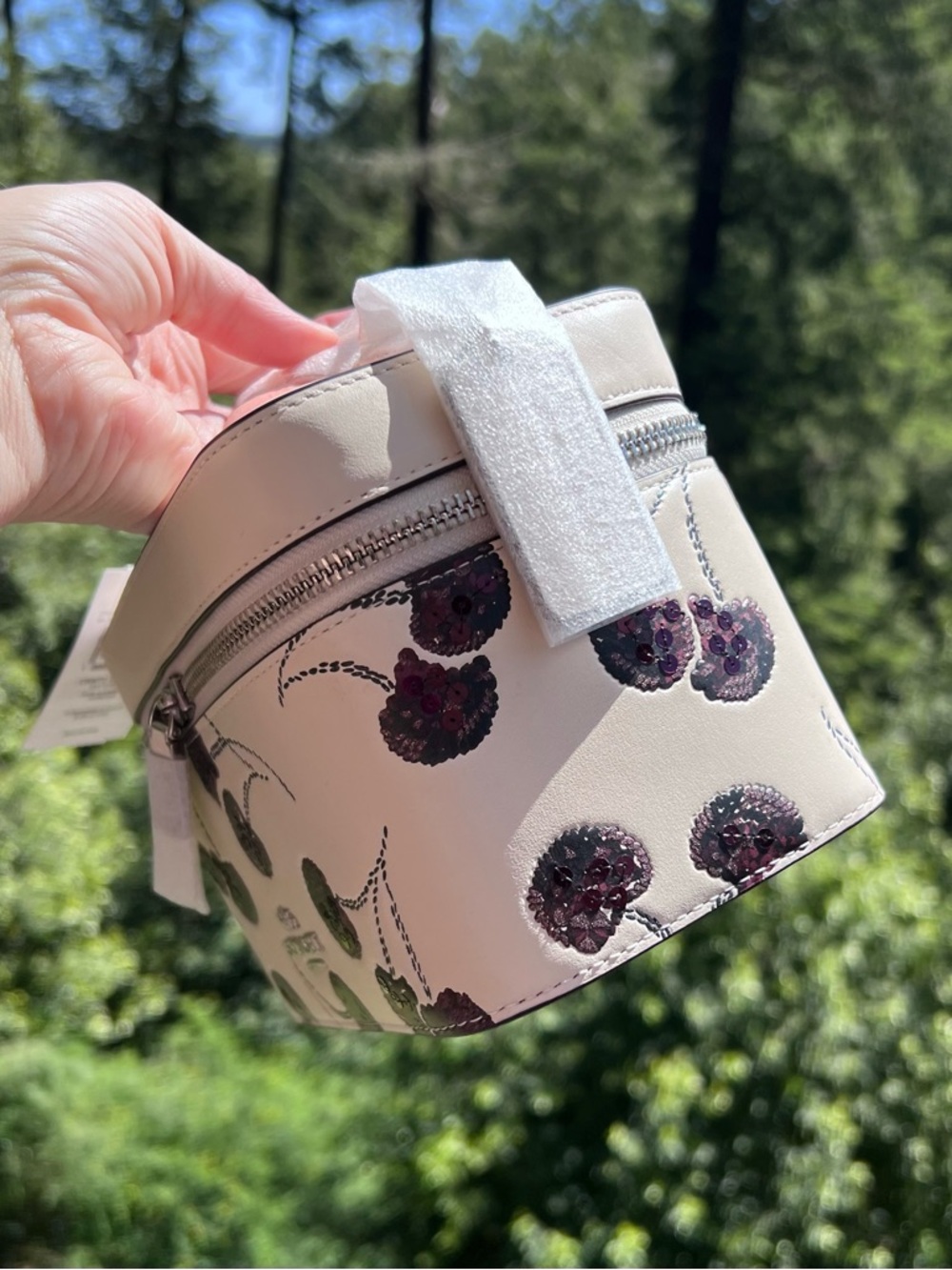 COACH Cosmetic & Make up Case w Cherry Print CDC13 AUTHENTIC New Coach Packaged - Picture 2 of 11